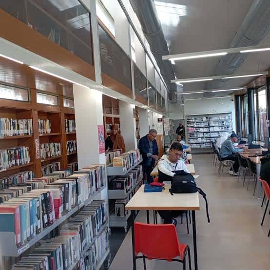Interior de la biblioteca con estanterías de libros y personas leyendo