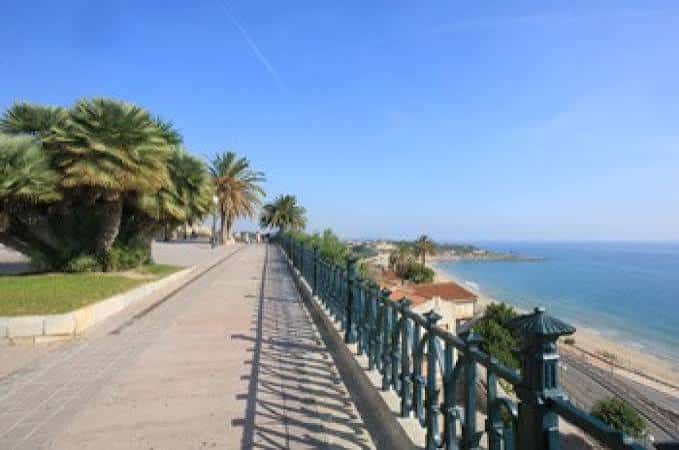 Paseo del Balcó del Mediterrani con palmeras y vista al mar