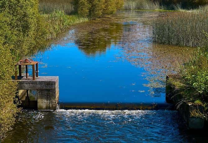 Estructura de control de agua en la laguna con reflejos azules y cañaverales