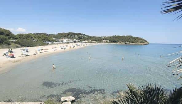 Vista panorámica de la playa con arena dorada, mar cristalino y vegetación costera bajo un cielo despejado