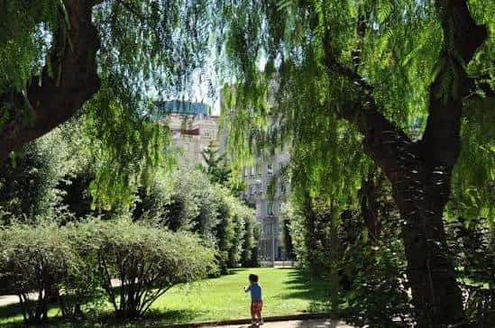 Vista del parque a través de árboles con un niño jugando