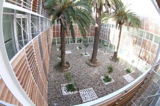 Vista cenital del patio interior con palmeras y diseño arquitectónico
