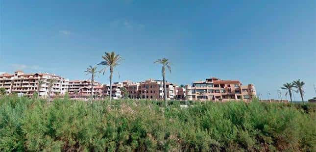 Vista del parque con palmeras y edificios residenciales al fondo bajo cielo despejado