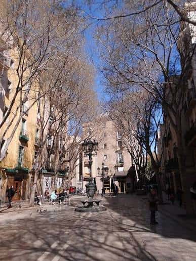 Vista general de la Plaça de Sant Agustí Vell con árboles y farolas