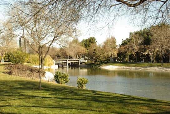 Paisaje del parque con lago, puente y árboles en invierno