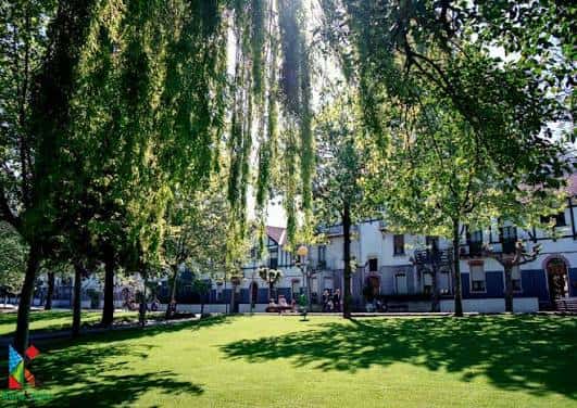 Jardín del parque con árboles frondosos y césped verde