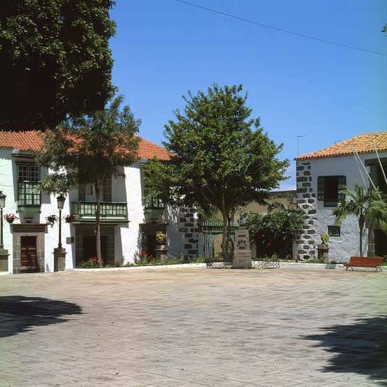 Plaza de San Juan con edificios tradicionales blancos y árboles centenarios