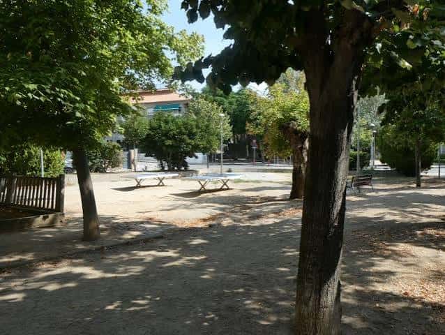 Espacio abierto del parque con mesas de picnic y sombra de árboles