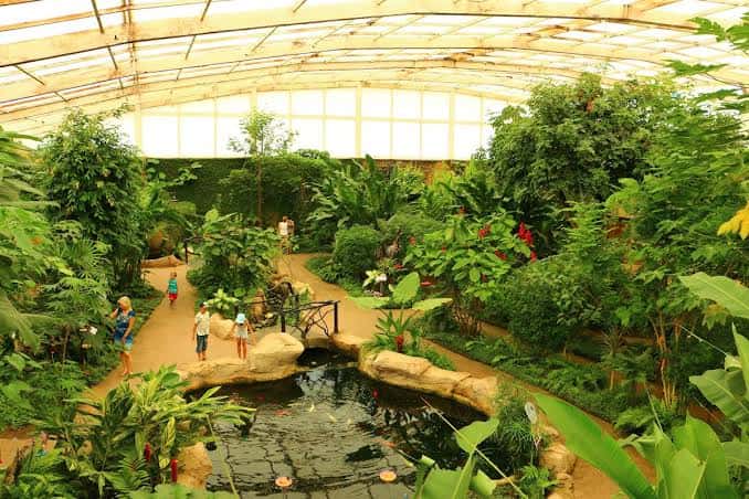 Vista panorámica del interior del invernadero con senderos, vegetación exuberante y visitantes