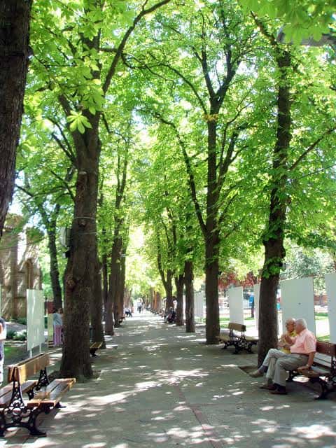 Avenida arbolada con personas descansando en bancos bajo la sombra