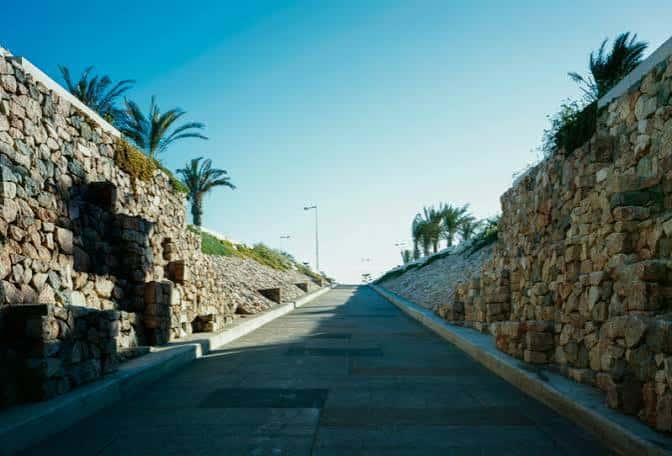 Pasillo peatonal con muros de piedra y palmeras en la Plaza del Mar