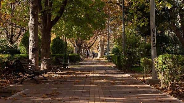Paseo arbolado con bancos y hojas de otoño en el suelo