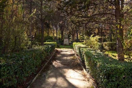 Sendero flanqueado por setos y árboles con una estatua al fondo