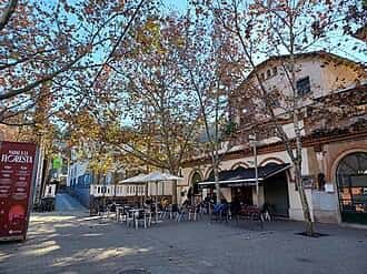Vista diurna de la Plaça de Miquel Ros con árboles, mesas al aire libre y edificios históricos