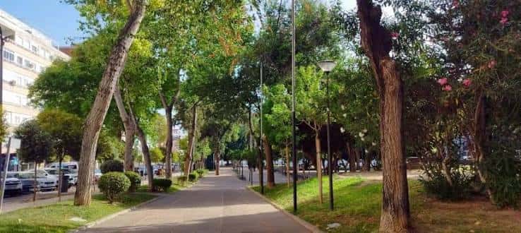 Paseo arbolado con sendero peatonal y vegetación densa