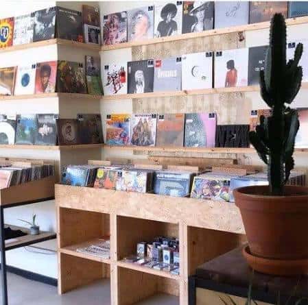 Interior de la tienda con estanterías de vinilos y decoración con plantas