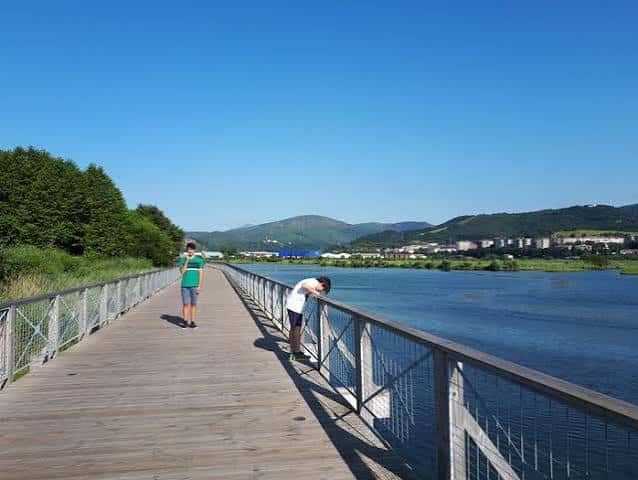 Puente peatonal de madera sobre el río Bidasoa con montañas al fondo
