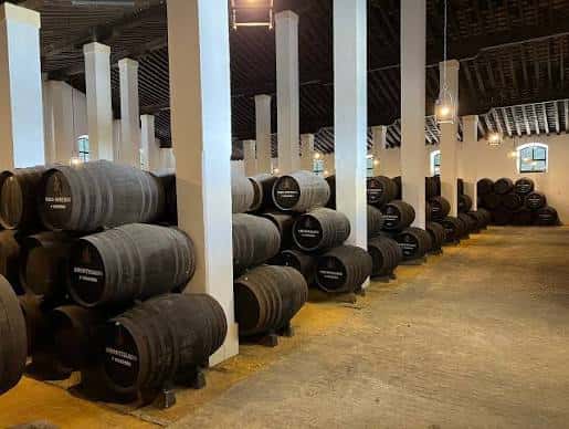 Interior de la bodega con barricas y columnas blancas