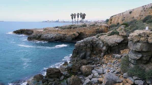 Vista panorámica de la costa rocosa de Punta del Miracle con palmeras y el mar Mediterráneo