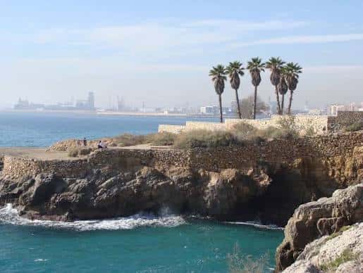 Acantilado de Punta del Miracle con palmeras y vista del puerto industrial de Tarragona