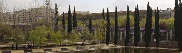 Vista panorámica del parque con cipreses altos y zona de agua