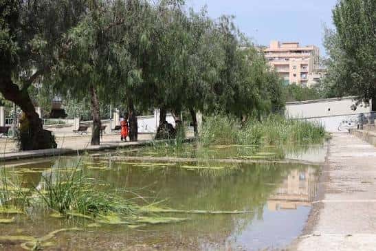 Lago naturalizado con vegetación acuática y senderos peatonales