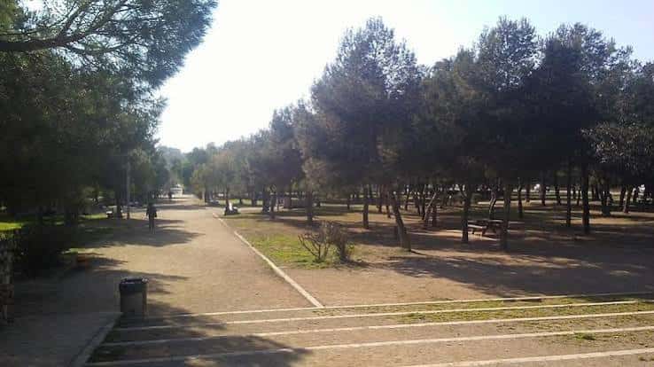 Sendero arbolado con zonas de descanso y picnic