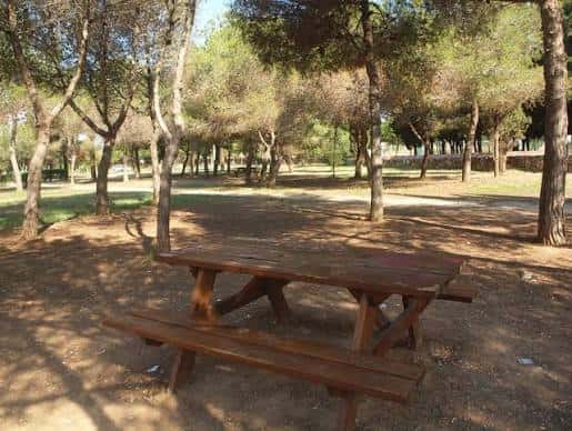 Mesa de picnic bajo sombra de árboles en el parque