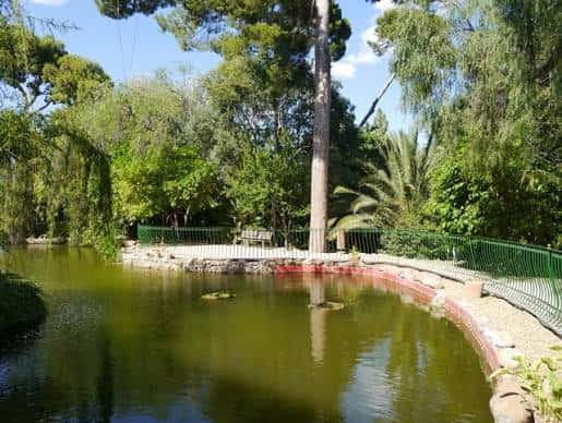 Paisaje del lago con senderos y árboles frondosos