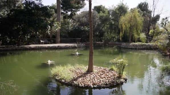 Lago central con isla y vegetación acuática en el parque