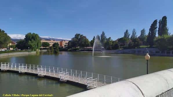 Parque Laguna del Carrizal con puente peatonal y fuente en el lago