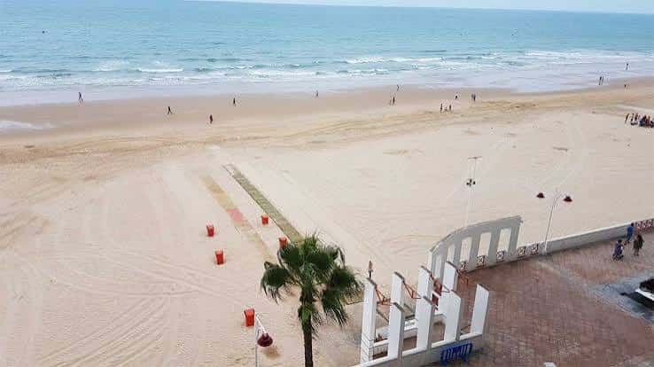 Playa de la Victoria con palmera, arena y olas suaves en primer plano