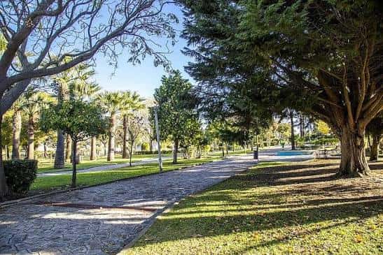 Sendero arbolado en el Parque de Santa Ana con sombra y luz natural