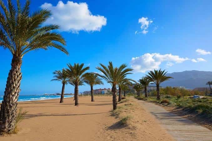 Playa Punta del Raset con palmeras y pasarela de madera bajo cielo azul