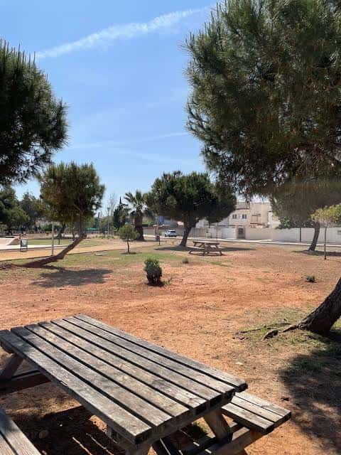 Área de descanso con mesas de picnic bajo árboles, mostrando zonas de sombra y recreo
