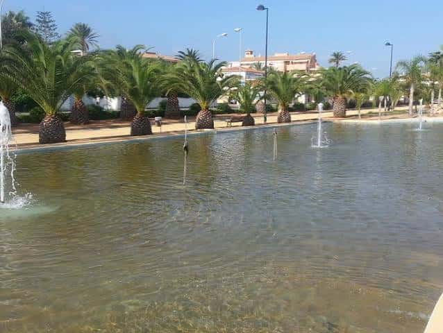 Vista del estanque con fuentes y palmeras, un elemento paisajístico destacado del parque