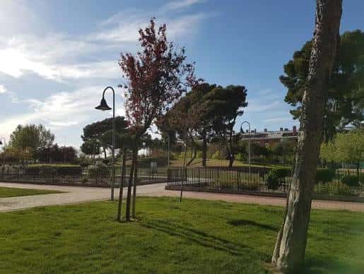 Área de césped y senderos del parque con árboles y farolas