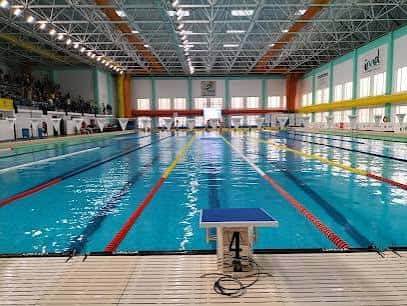 Pista de natación olímpica con bloques de salida y espectadores en las gradas