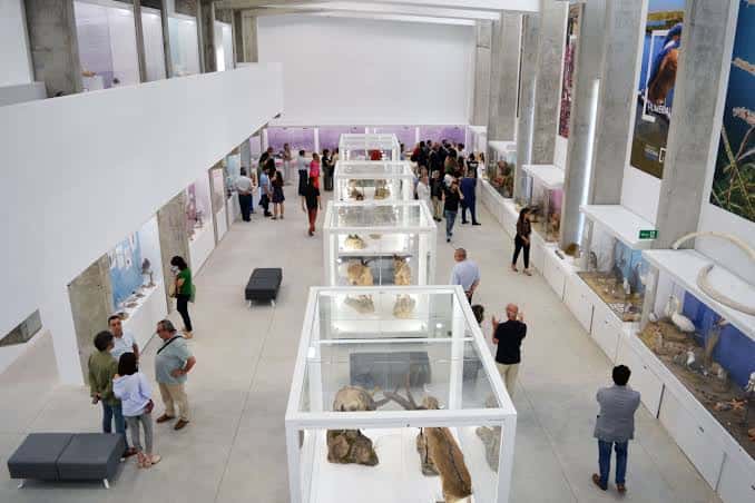 Interior del museo con vitrinas de exhibición y visitantes recorriendo las salas