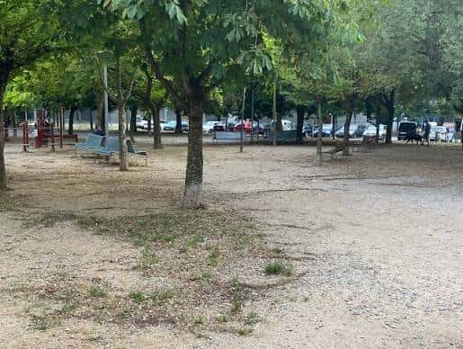 Área arbolada del parque con bancos y espacio abierto para celebraciones