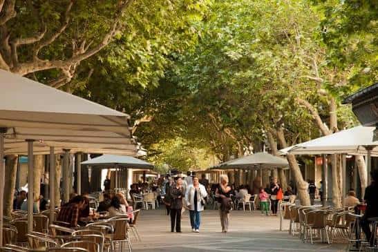 Escena diurna del paseo con terrazas de cafeterías y personas caminando entre la sombra de los árboles