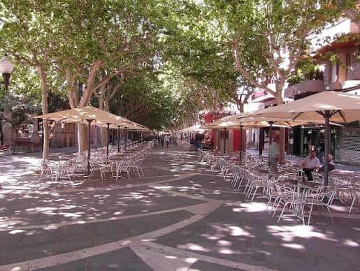 Paseo arbolado con mesas y sombrillas de terrazas vacías, mostrando el diseño urbano y la vegetación