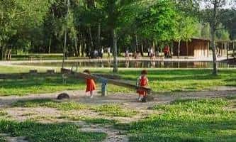 Niños jugando en un área de juegos al aire libre con columpios y árboles