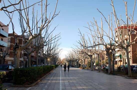 Passeig Mossèn Cinto Verdaguer en Igualada con árboles sin hojas y personas caminando