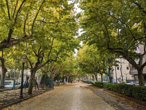 Passeig Mossèn Cinto Verdaguer en Igualada con árboles frondosos y ambiente tranquilo