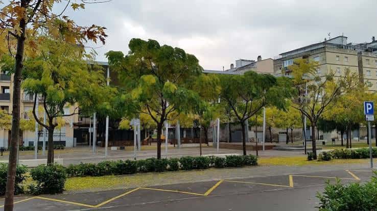 Área arbolada del parque con árboles de hojas amarillas y estacionamiento cercano