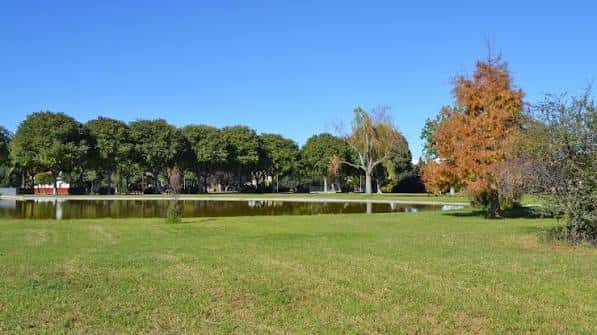 Vista panorámica del Parque Ausiàs March con el río Serpis y árboles de otoño
