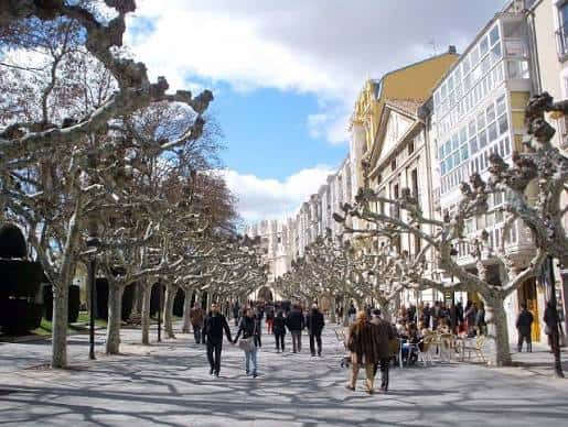 Paseo del Espolón con árboles y edificios históricos bajo cielo azul