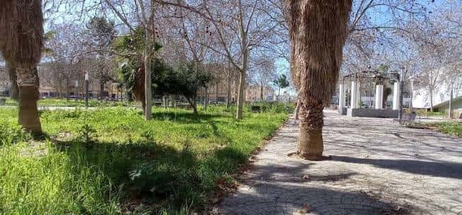 Vista del parque con senderos y zonas verdes