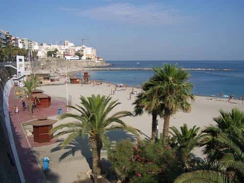 Vista panorámica de la playa con palmeras, paseos y edificios costeros